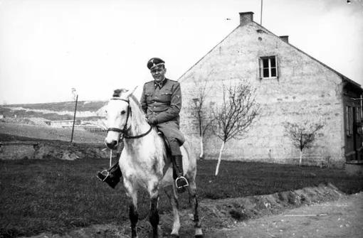 Амон Гет