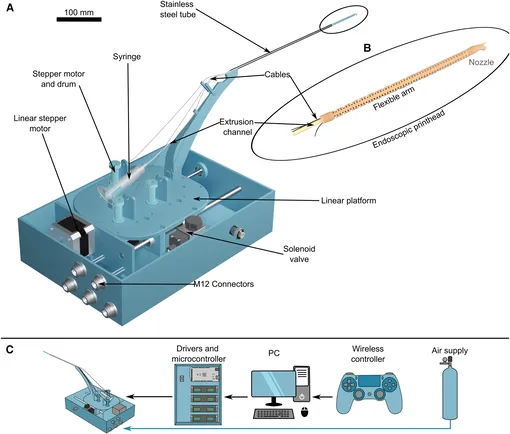 управление принтером управление принтером