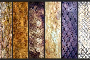 Оригинальная технология: как дизайнер выращивает кожу из грибов Оригинальная технология: как дизайнер выращивает кожу из грибов