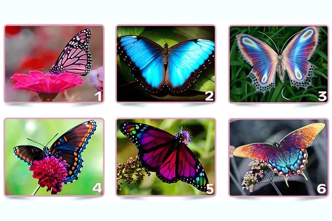 Какая бабочка раскроет вашу истинную сущность? Пройдите этот визуальный тест и узнайте