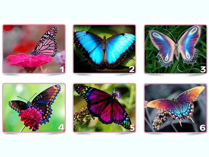 Сделайте свой выбор!