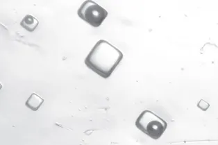 Пузырьки воздуха в кристаллах соли возрастом 1,4 миллиарда лет раскрыли секреты ранней атмосферы Земли Пузырьки воздуха в кристаллах соли возрастом 1,4 миллиарда лет раскрыли секреты ранней атмосферы Земли