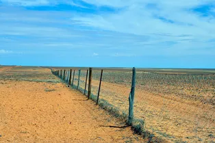 5600 км сетки: зачем Австралии построили самый длинный забор в мире 5600 км сетки: зачем Австралии построили самый длинный забор в мире