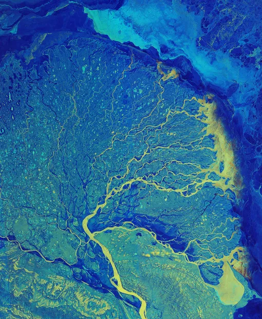 Дельта Лены, одной из крупнейших рек в мире. Река выделена ярко-желтым цветом. Она разветвляется и делится на множество русел, прежде чем впадает в море. Осадочные отложения, переносимые водой, образуют дельту Лены. Сотни небольших озер и прудов видны по всей тундре.