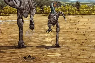 Ученые выяснили, с какой скоростью бегал самый быстрый теропод мелового периода