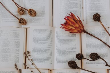 5 книг, которые спасают природу и ваши нервы