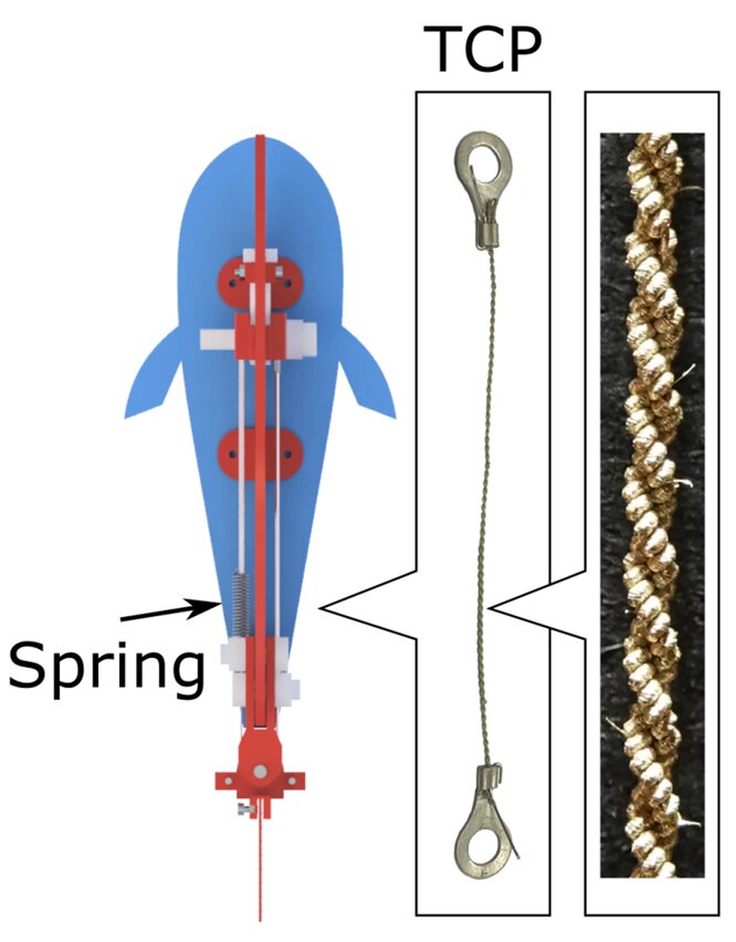 Ученые создали робота-рыбу, плавающего за счет искусственной «мышцы»