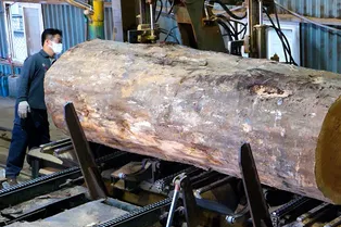 Как корейцы изготавливают столы из цельных древесных стволов: видео с производства