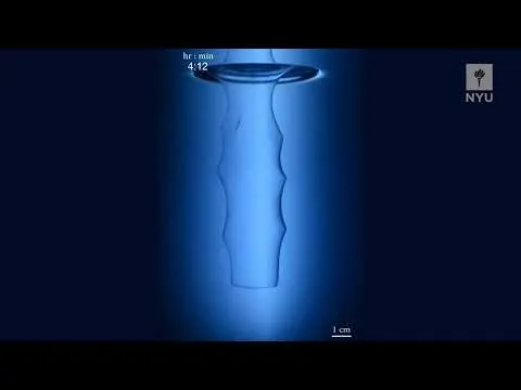 Нажми и смотри