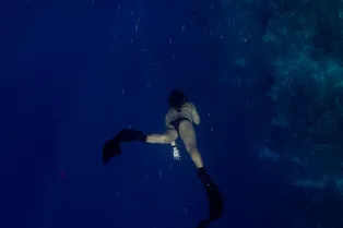 Ученые изучили только 0.001% глубоководья Земли! Вот почему это плохо Ученые изучили только 0.001% глубоководья Земли! Вот почему это плохо