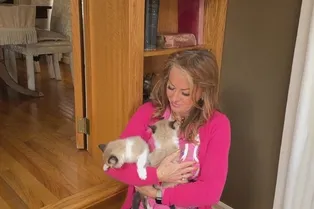 Женщина заказала себе 2 клонов своего кота! Узнайте, зачем она это сделала: интересная история