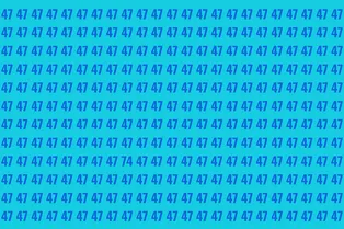 Головоломка для испытания внимания: найдите число 74 за определенное время Головоломка для испытания внимания: найдите число 74 за определенное время