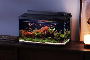 Dangbei выпустила аквариум Smart Fish Tank 2S Ultra с искусственным интеллектом