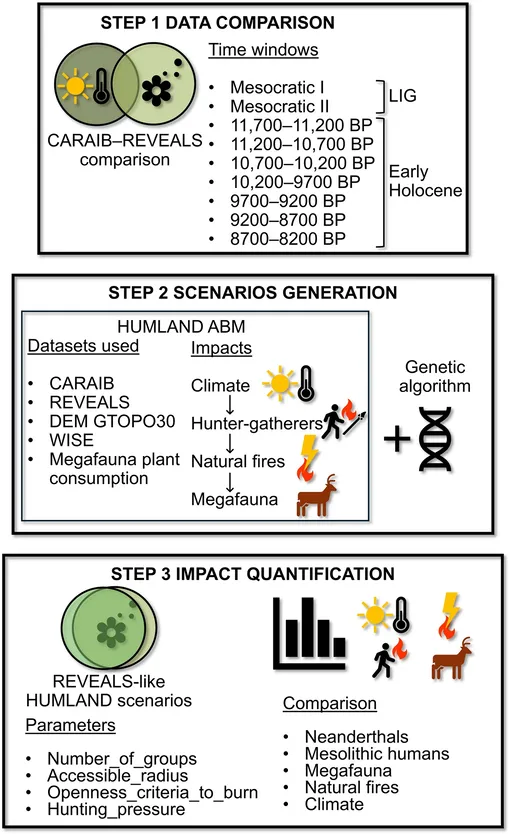 Обзор этапов исследования, включая сравнение данных CARAIB (потенциальная естественная растительность, определяемая климатом) и REVEALS (реконструкция растительности на основе пыльцы), разработку и модернизацию HUMLAND ABM, его интеграцию с генетическим алгоритмом и создание сценариев для количественной оценки воздействия неандертальцев, мезолитического населения, мегафауны, естественных пожаров и климата на растительность.