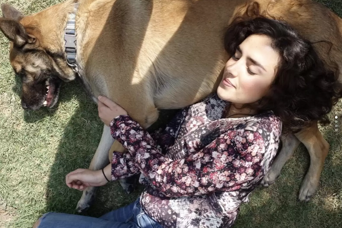 Собака, гуляла по парку, когда поняла, что знает женщину, сидящую на скамейке