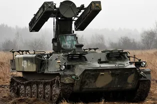 Российская армия вооружится «Сосной» Российская армия вооружится «Сосной»