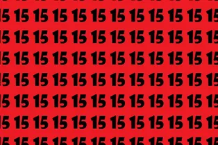 Проверка зоркости: сможете найти на картинке число 51? Проверка зоркости: сможете найти на картинке число 51?