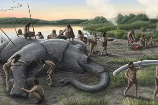 Неандертальцы и люди изменили Европу задолго до появления сельского хозяйства