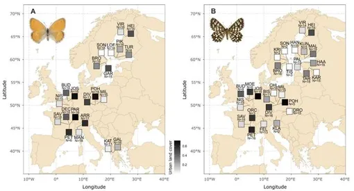 Карты, показывающие места отбора проб для Coenonympha pamphilus (A) и Chiasmia clathrata (B). Карты, показывающие места отбора проб насекомых