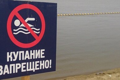 Купаться запрещено: почему не стоит плавать в городских прудах, реках и озерах