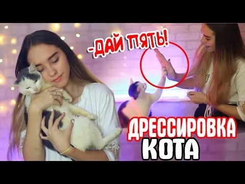 Нажми и смотри