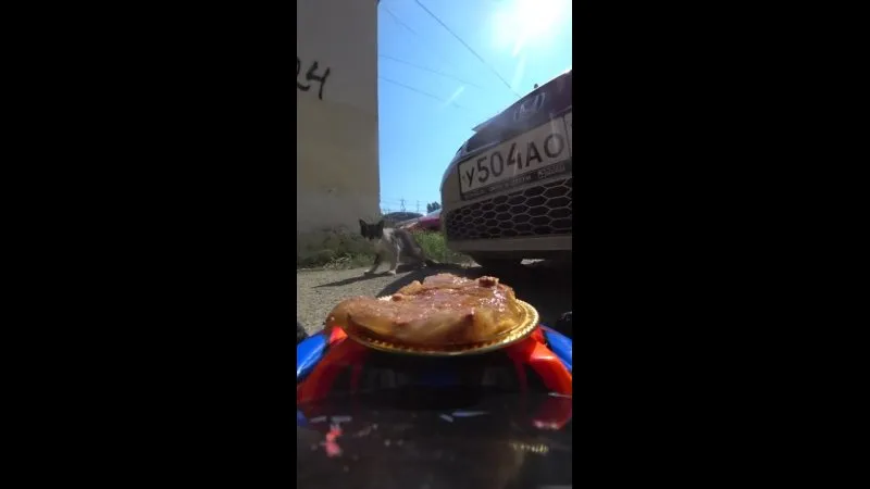 Нажми и смотри Нажми и смотри