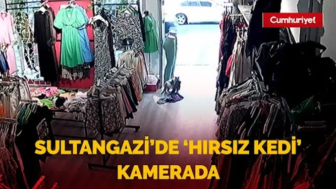 Нажми и смотри