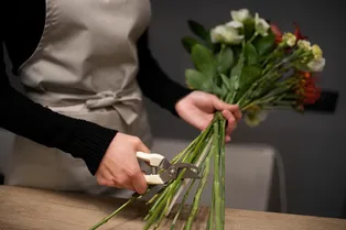 Не завянут никогда: как укоренить цветы из букета Не завянут никогда: как укоренить цветы из букета