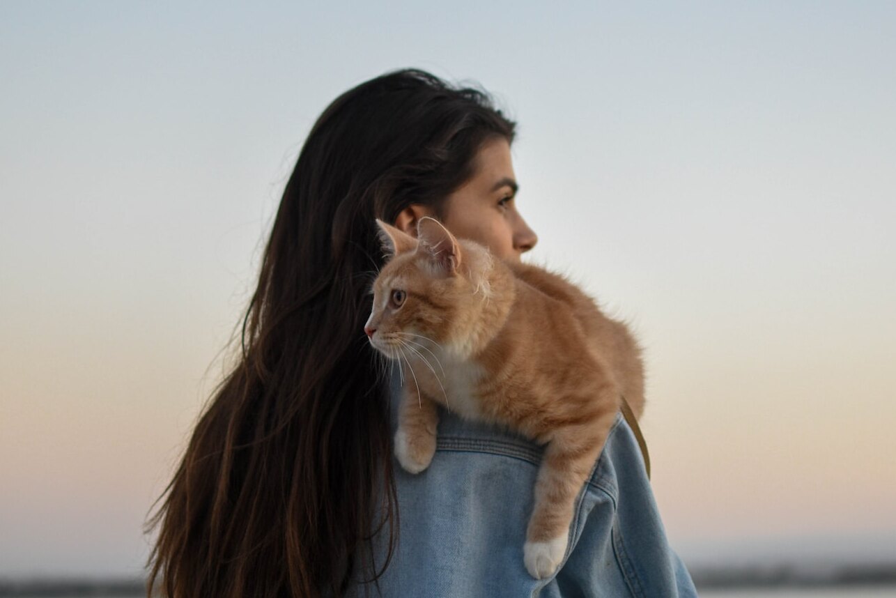 Коты действительно умеют лечить! Врач рассказала, как питомцы помогают своим хозяевам