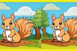 Проверьте свою внимательность: найдите отличия между двумя милыми белочками