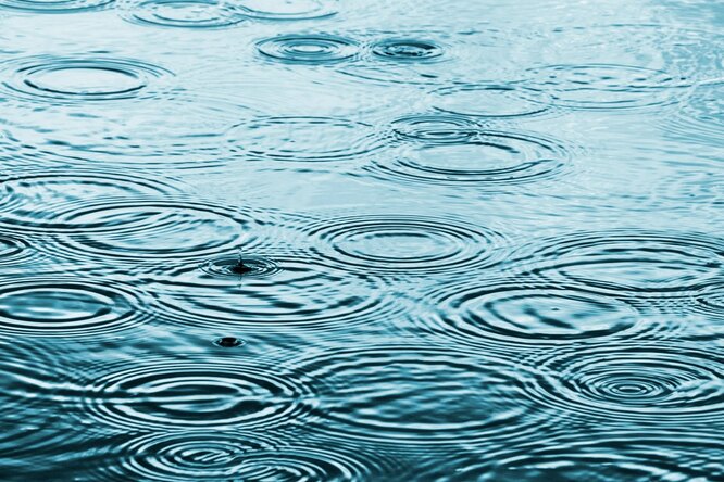 В дождевой воде по всему миру обнаружен «беспрецедентный» уровень токсических и крайне опасных для здоровья веществ