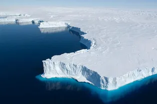 Не оправдалась надежда, что фитопланктон Южного океана сдерживает потепление Не оправдалась надежда, что фитопланктон Южного океана сдерживает потепление