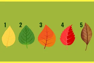 В какой сфере вы с большей вероятностью станете успешным: тест личности