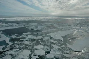 Космическая пыль раскрыла тайны арктических льдов за 30 тысяч лет Космическая пыль раскрыла тайны арктических льдов за 30 тысяч лет