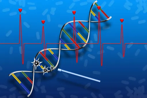 Появился первый в истории препарат для восстановления ДНК и регенерации тканей Появился первый в истории препарат для восстановления ДНК и регенерации тканей