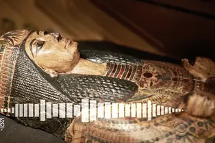 Вирусный ролик с «криком мумии» оказался фейком, но с научным бэкграундом