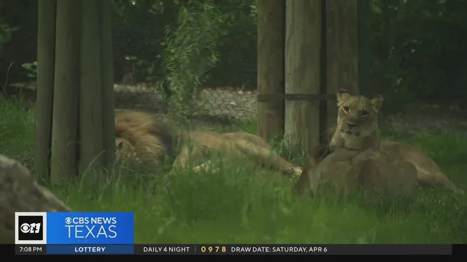Нажми и смотри