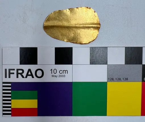 Золотой язык, который также был найден на месте раскопок