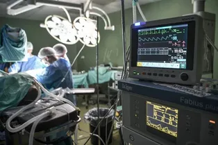 Нейробиологи нашли в мозге сигнал, который указывает на потерю сознания