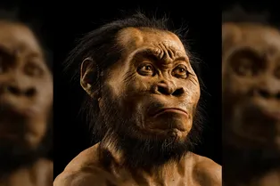 Вымерший вид людей хоронил умерших сородичей за 100 000 лет до того, как это сделали современные люди