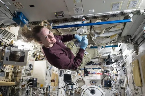 14 октября 2016 года астронавт NASA Кейт Рубинс собирает микробы в японском экспериментальном модуле на борту Международной космической станции. 14 октября 2016 года астронавт NASA Кейт Рубинс собирает микробы в японском экспериментальном модуле на борту Международной космической станции.
