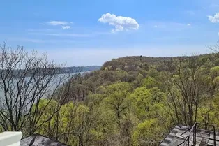 В будущем деревья будут поглощать все меньше углерода В будущем деревья будут поглощать все меньше углерода