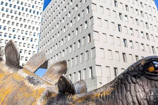 Мужчина случайно провалился в статую стегозавра и умер, пытаясь достать смартфон