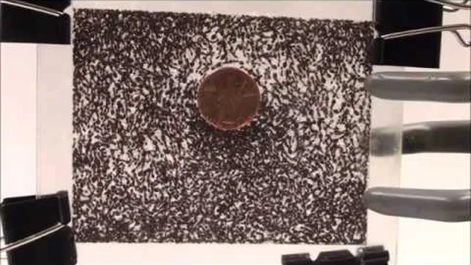 Нажми и смотри