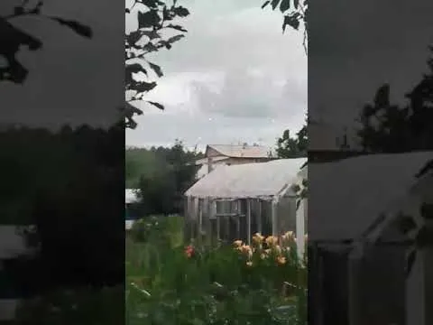 Нажми и смотри