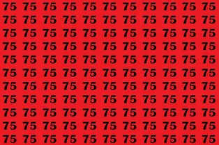 Время проверить внимательность: найдите на картинке число 57