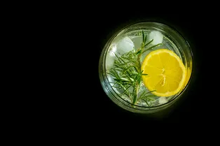 Климатический кризис угрожает вкусу джина с тоником! Вот что выяснили ученые