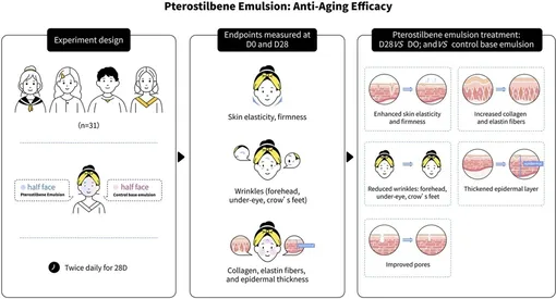 Схема эксперимента Схема эксперимента