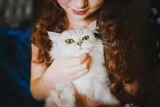 Преимущества быть кошатником, или Как коты действуют на наше здоровье Преимущества быть кошатником, или Как коты действуют на наше здоровье