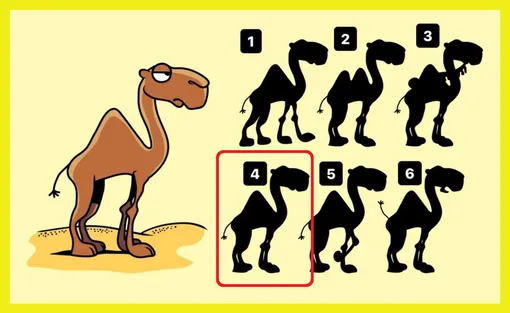 Ответ на головоломку